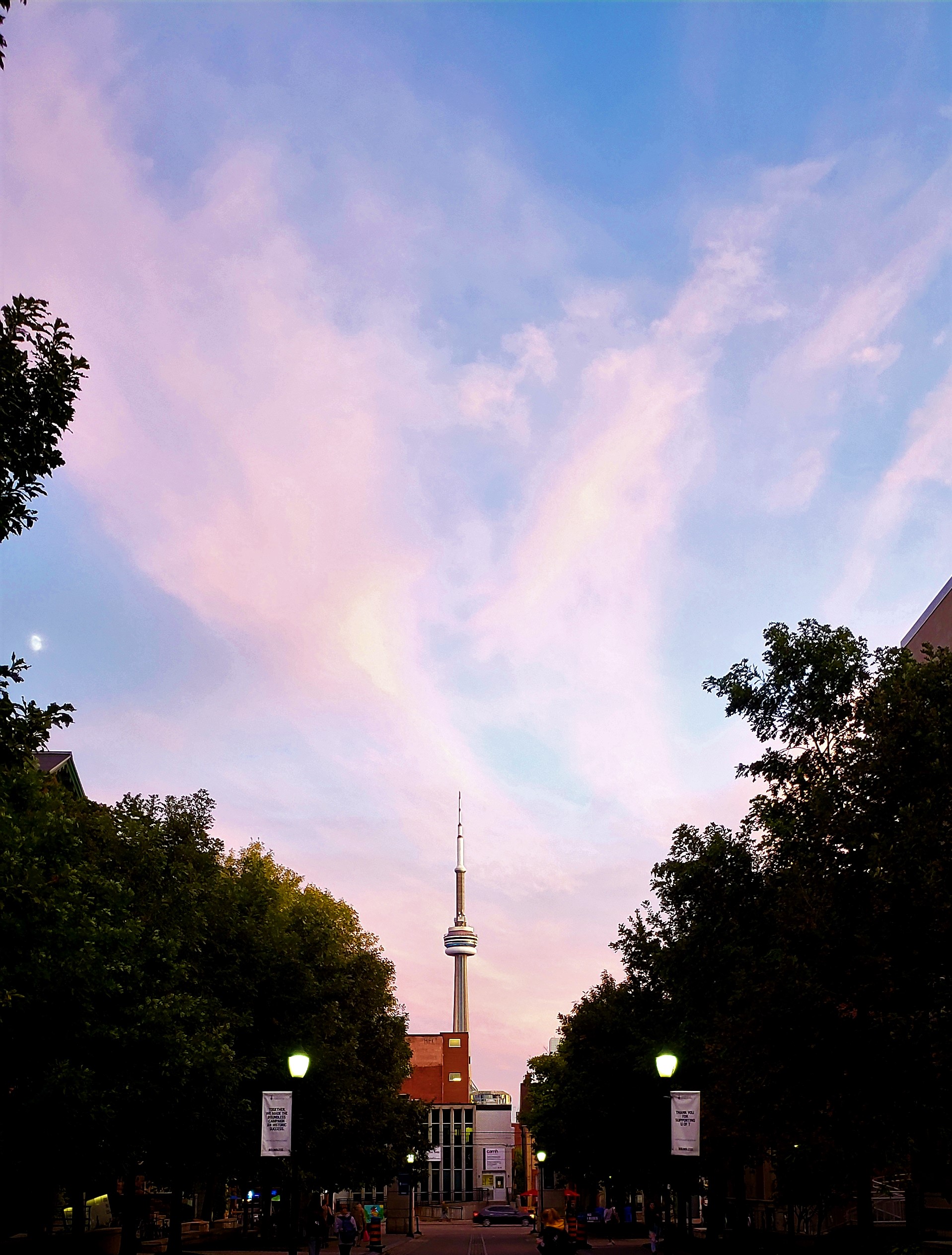 cn tower